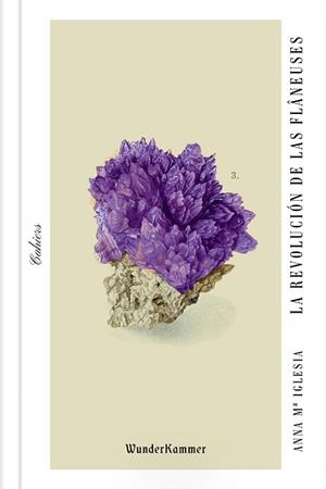 REVOLUCIÓN DE LAS FLÂNEUSES, LA | 9788494972539 | IGLESIA, ANNA Mª | Llibreria Aqualata | Comprar llibres en català i castellà online | Comprar llibres Igualada