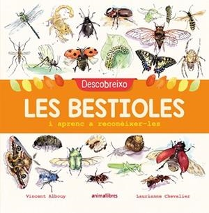 DESCOBREIXO LES BESTIOLES I APRENC A RECONÈIXER-LES | 9788417599201 | ALBOUY, VINCENT | Llibreria Aqualata | Comprar libros en catalán y castellano online | Comprar libros Igualada