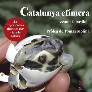 CATALUNYA EFÍMERA | 9788494928147 | GUARDIOLA, ASSUM | Llibreria Aqualata | Comprar libros en catalán y castellano online | Comprar libros Igualada