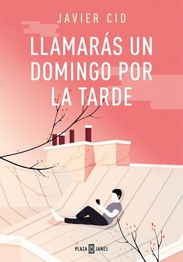 LLAMARÁS UN DOMINGO POR LA TARDE | 9788401019975 | CID, JAVIER | Llibreria Aqualata | Comprar llibres en català i castellà online | Comprar llibres Igualada