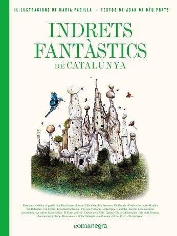 INDRETS FANTÀSTICS DE CATALUNYA | 9788417188986 | PRATS PIJOAN, JOAN DE DÉU/PADILLA CLIMENT, MARIA | Llibreria Aqualata | Comprar libros en catalán y castellano online | Comprar libros Igualada