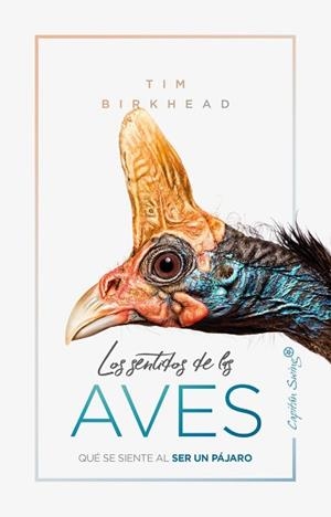 SENTIDOS DE LAS AVES, LOS | 9788412064506 | BIRKHEAD, TIM | Llibreria Aqualata | Comprar libros en catalán y castellano online | Comprar libros Igualada