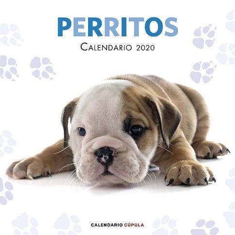 2020 CALENDARIO PERRITOS | 9788448026158 | AA. VV. | Llibreria Aqualata | Comprar libros en catalán y castellano online | Comprar libros Igualada