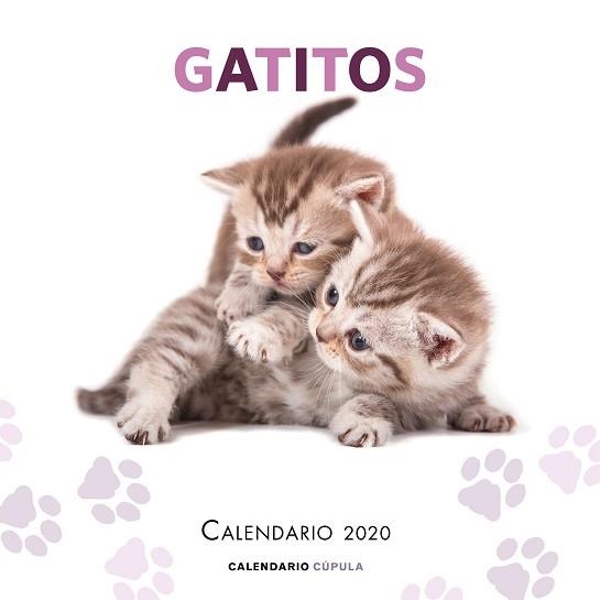 2020 CALENDARIO GATITOS  | 9788448026165 | AA. VV. | Llibreria Aqualata | Comprar libros en catalán y castellano online | Comprar libros Igualada