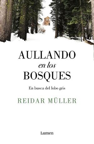 AULLANDO EN LOS BOSQUES | 9788426406996 | MÜLLER, REIDAR | Llibreria Aqualata | Comprar llibres en català i castellà online | Comprar llibres Igualada