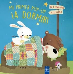 A DORMIR! | 9788408210894 | YOYO | Llibreria Aqualata | Comprar libros en catalán y castellano online | Comprar libros Igualada