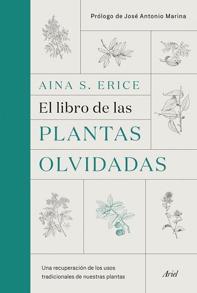LIBRO DE LAS PLANTAS OLVIDADAS, EL | 9788434431461 | S. ERICE, AINA | Llibreria Aqualata | Comprar libros en catalán y castellano online | Comprar libros Igualada
