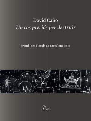 UN COS PRECIÓS PER DESTRUIR | 9788475887999 | CAÑO, DAVID | Llibreria Aqualata | Comprar libros en catalán y castellano online | Comprar libros Igualada