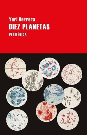 DIEZ PLANETAS | 9788416291915 | HERRERA, YURI | Llibreria Aqualata | Comprar libros en catalán y castellano online | Comprar libros Igualada