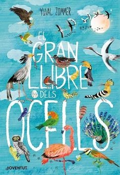 GRAN LLIBRE DELS OCELLS, EL | 9788426145840 | ZOMMER, YUVAL | Llibreria Aqualata | Comprar llibres en català i castellà online | Comprar llibres Igualada