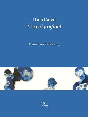 ESPAI PROFUND, L' | 9788475888248 | CALVO, LLUÍS | Llibreria Aqualata | Comprar libros en catalán y castellano online | Comprar libros Igualada