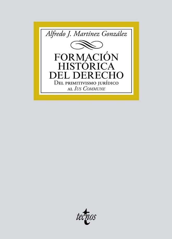 FORMACIÓN HISTÓRICA DEL DERECHO | 9788430978410 | MARTÍNEZ GONZÁLEZ, ALFREDO JOSÉ | Llibreria Aqualata | Comprar libros en catalán y castellano online | Comprar libros Igualada