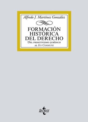FORMACIÓN HISTÓRICA DEL DERECHO | 9788430978410 | MARTÍNEZ GONZÁLEZ, ALFREDO JOSÉ | Llibreria Aqualata | Comprar llibres en català i castellà online | Comprar llibres Igualada