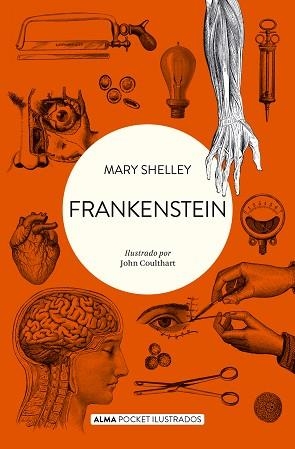 FRANKENSTEIN (POCKET) | 9788418008511 | SHELLEY, MARY | Llibreria Aqualata | Comprar libros en catalán y castellano online | Comprar libros Igualada