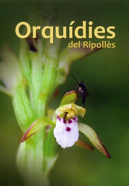 ORQUÍDIES DEL RIPOLLÈS | 9788499652955 | CANALS TARON, JOAN | Llibreria Aqualata | Comprar libros en catalán y castellano online | Comprar libros Igualada