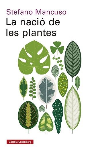 NACIÓ DE LES PLANTES, LA | 9788417971564 | MANCUSO, STEFANO | Llibreria Aqualata | Comprar libros en catalán y castellano online | Comprar libros Igualada