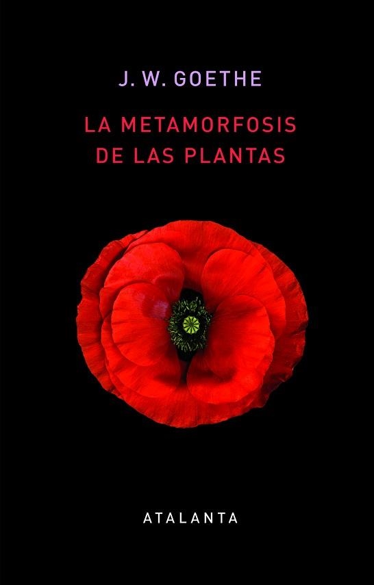 METAMORFOSIS DE LAS PLANTAS, LA | 9788412074345 | GOETHE, JOHANN WOLFGANG | Llibreria Aqualata | Comprar libros en catalán y castellano online | Comprar libros Igualada