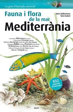 FLORA I FAUNA DE LA MAR MEDITERRÀNIA | 9788415885979 | BALLESTEROS SAGARRA, ENRIC | Llibreria Aqualata | Comprar llibres en català i castellà online | Comprar llibres Igualada