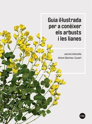 GUIA IL·LUSTRADA PER A CONÈIXER ELS ARBUSTS I LES LIANES | 9788491683735 | LLISTOSELLA VIDAL, JAUME/SÀNCHEZ-CUXART, ANTONI | Llibreria Aqualata | Comprar libros en catalán y castellano online | Comprar libros Igualada