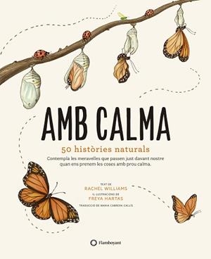 AMB CALMA | 9788417749583 | WILLIAMS, RACHEL | Llibreria Aqualata | Comprar libros en catalán y castellano online | Comprar libros Igualada