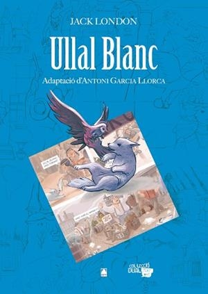 ULLAL BLANC | 9788430769209 | FORTUNY GINÉ, JOAN BAPTISTA/MARTÍ RAÜLL, SALVADOR/VÁNDOR, ARIEL | Llibreria Aqualata | Comprar libros en catalán y castellano online | Comprar libros Igualada