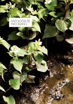 ANTOLOGIA DE INIO ASANO | 9788467942552 | INIO ASANO | Llibreria Aqualata | Comprar libros en catalán y castellano online | Comprar libros Igualada