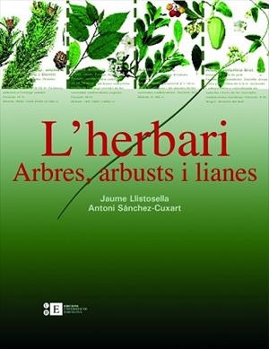 HERBARI, L'. ARBRES, ARBUSTS I LIANES | 9788483384220 | LLISTOSELLA, JAUME / SANCHEZ-CUXART, ANTONI | Llibreria Aqualata | Comprar libros en catalán y castellano online | Comprar libros Igualada