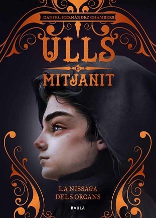 NISSAGA DELS ORCANS, LA (ULLS DE MITJANIT 3) | 9788447942466 | HERNÁNDEZ CHAMBERS, DANIEL | Llibreria Aqualata | Comprar libros en catalán y castellano online | Comprar libros Igualada