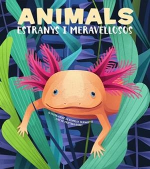 ANIMALS EXTRANYS I MERAVELLOSOS (VVKIDS) | 9788468270685 | BANFI, CRISTINA | Llibreria Aqualata | Comprar libros en catalán y castellano online | Comprar libros Igualada