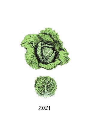 2021 CALENDARI DE LES VERDURES | 9788412205640 | POMÉS LEIZ, JULIET | Llibreria Aqualata | Comprar libros en catalán y castellano online | Comprar libros Igualada