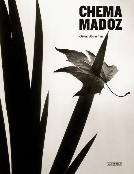 CHEMA MADOZ | 9788417769673 | MADOZ, CHEMA | Llibreria Aqualata | Comprar libros en catalán y castellano online | Comprar libros Igualada