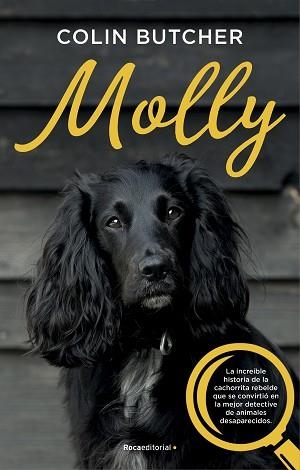 MOLLY | 9788417541033 | BUTCHER, COLIN | Llibreria Aqualata | Comprar libros en catalán y castellano online | Comprar libros Igualada