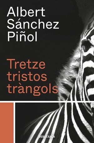 TRETZE TRISTOS TRÀNGOLS | 9788418132384 | SÁNCHEZ PIÑOL, ALBERT | Llibreria Aqualata | Comprar libros en catalán y castellano online | Comprar libros Igualada
