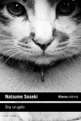 SOY UN GATO | 9788413620718 | SOSEKI, NATSUME | Llibreria Aqualata | Comprar libros en catalán y castellano online | Comprar libros Igualada