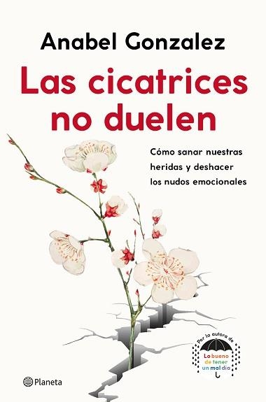 CICATRICES NO DUELEN, LAS | 9788408239093 | GONZALEZ, ANABEL | Llibreria Aqualata | Comprar libros en catalán y castellano online | Comprar libros Igualada
