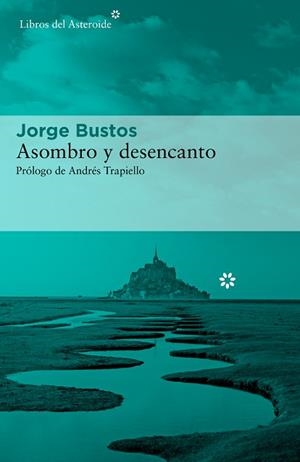 ASOMBRO Y DESENCANTO | 9788417977573 | BUSTOS, JORGE | Llibreria Aqualata | Comprar libros en catalán y castellano online | Comprar libros Igualada