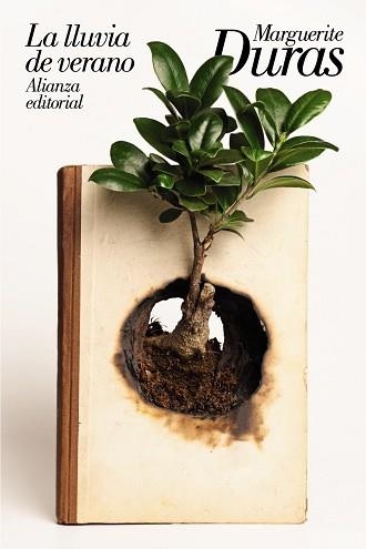 LLUVIA DE VERANO, LA | 9788491814962 | DURAS, MARGUERITE | Llibreria Aqualata | Comprar libros en catalán y castellano online | Comprar libros Igualada