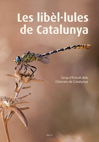 LIBÈL·LULES DE CATALUNYA, LES | 9788415885467 | GRUP D'ESTUDIS DELS ODONATS DE CATALUNYA | Llibreria Aqualata | Comprar libros en catalán y castellano online | Comprar libros Igualada