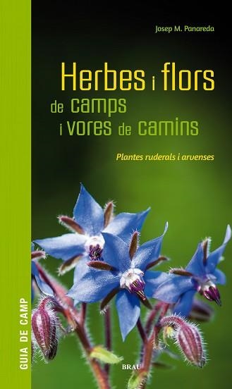 HERBES I FLORS DE CAMPS I VORES DE CAMINS | 9788418096082 | PANAREDA CLOPÉS, JOSEP M | Llibreria Aqualata | Comprar libros en catalán y castellano online | Comprar libros Igualada