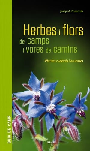 HERBES I FLORS DE CAMPS I VORES DE CAMINS | 9788418096082 | PANAREDA CLOPÉS, JOSEP M | Llibreria Aqualata | Comprar libros en catalán y castellano online | Comprar libros Igualada