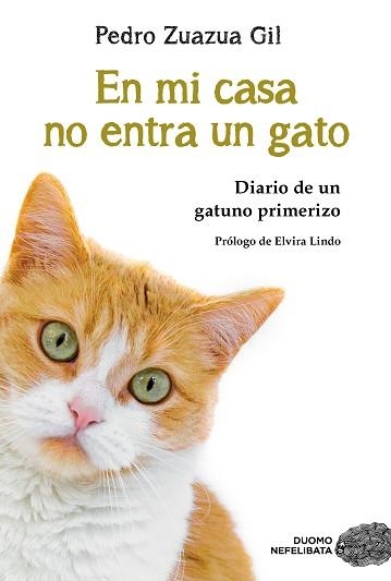 EN MI CASA NO ENTRA UN GATO | 9788417761882 | ZUAZUA GIL, PEDRO | Llibreria Aqualata | Comprar libros en catalán y castellano online | Comprar libros Igualada
