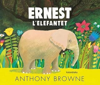 ERNEST L'ELEFANTET | 9788418558054 | BROWNE, ANTHONY | Llibreria Aqualata | Comprar libros en catalán y castellano online | Comprar libros Igualada