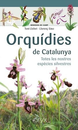 ORQUÍDIES DE CATALUNYA | 9788413560403 | SÀEZ GOÑALONS, LLORENÇ / LLOBET FRANÇOIS, TONI | Llibreria Aqualata | Comprar libros en catalán y castellano online | Comprar libros Igualada