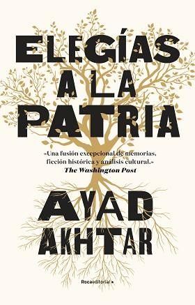 ELEGÍAS A LA PATRIA | 9788418417313 | AKHTAR, AYAD | Llibreria Aqualata | Comprar libros en catalán y castellano online | Comprar libros Igualada