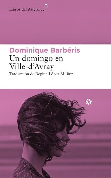 UN DOMINGO EN VILLE-D’AVRAY | 9788417977634 | BARBÉRIS, DOMINIQUE | Llibreria Aqualata | Comprar libros en catalán y castellano online | Comprar libros Igualada