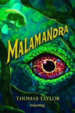 MALAMANDRA | 9788491223542 | TAYLOR, THOMAS | Llibreria Aqualata | Comprar libros en catalán y castellano online | Comprar libros Igualada