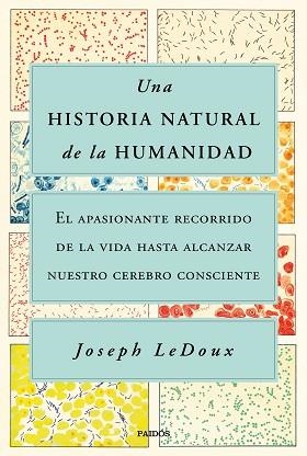 UNA HISTORIA NATURAL DE LA HUMANIDAD | 9788449338274 | LEDOUX, JOSEPH | Llibreria Aqualata | Comprar libros en catalán y castellano online | Comprar libros Igualada