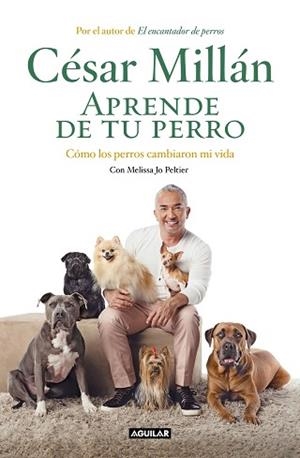 APRENDE DE TU PERRO | 9788403518445 | MILLÁN, CÉSAR | Llibreria Aqualata | Comprar llibres en català i castellà online | Comprar llibres Igualada