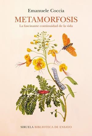 METAMORFOSIS | 9788418859052 | COCCIA, EMANUELE | Llibreria Aqualata | Comprar libros en catalán y castellano online | Comprar libros Igualada