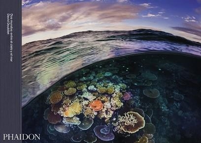 DOS MUNDOS: ENTRE EL CIELO Y EL MAR | 9781838663445 | MORAN, KATHLEEN F. / DOUBILET, DAVID / SULLIVAN, KATHRYN D. | Llibreria Aqualata | Comprar libros en catalán y castellano online | Comprar libros Igualada